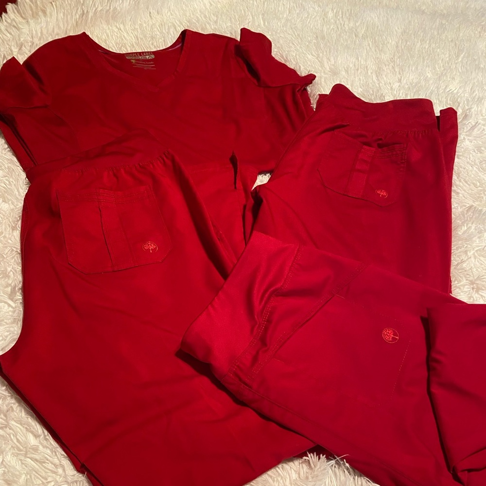 Gently worn Purple Label ( Healing Hands) Scrub set.